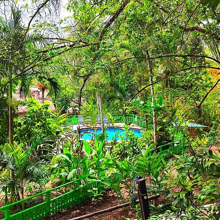 Maya Mountain Lodge San Ignacio Ngoại thất bức ảnh