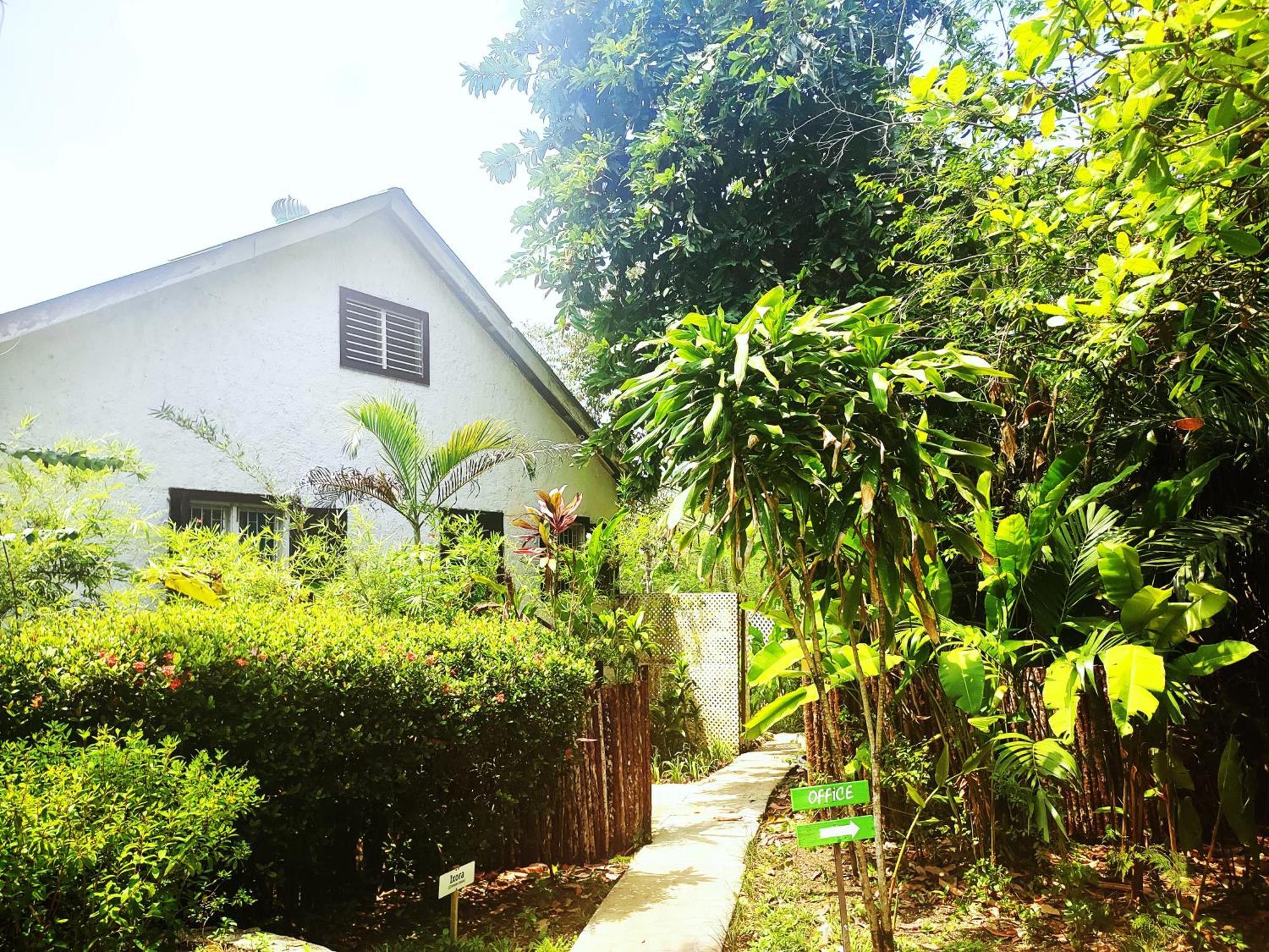 Maya Mountain Lodge San Ignacio Ngoại thất bức ảnh