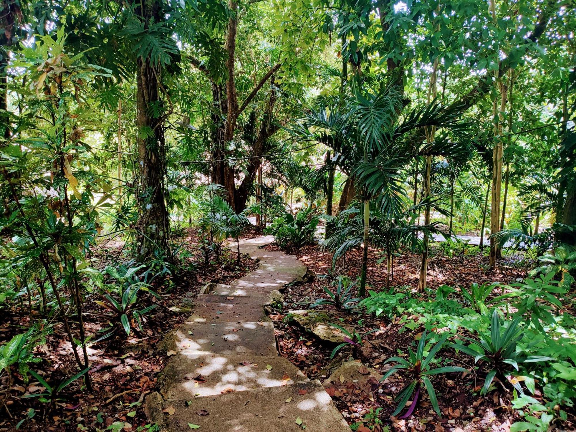 Maya Mountain Lodge San Ignacio Ngoại thất bức ảnh