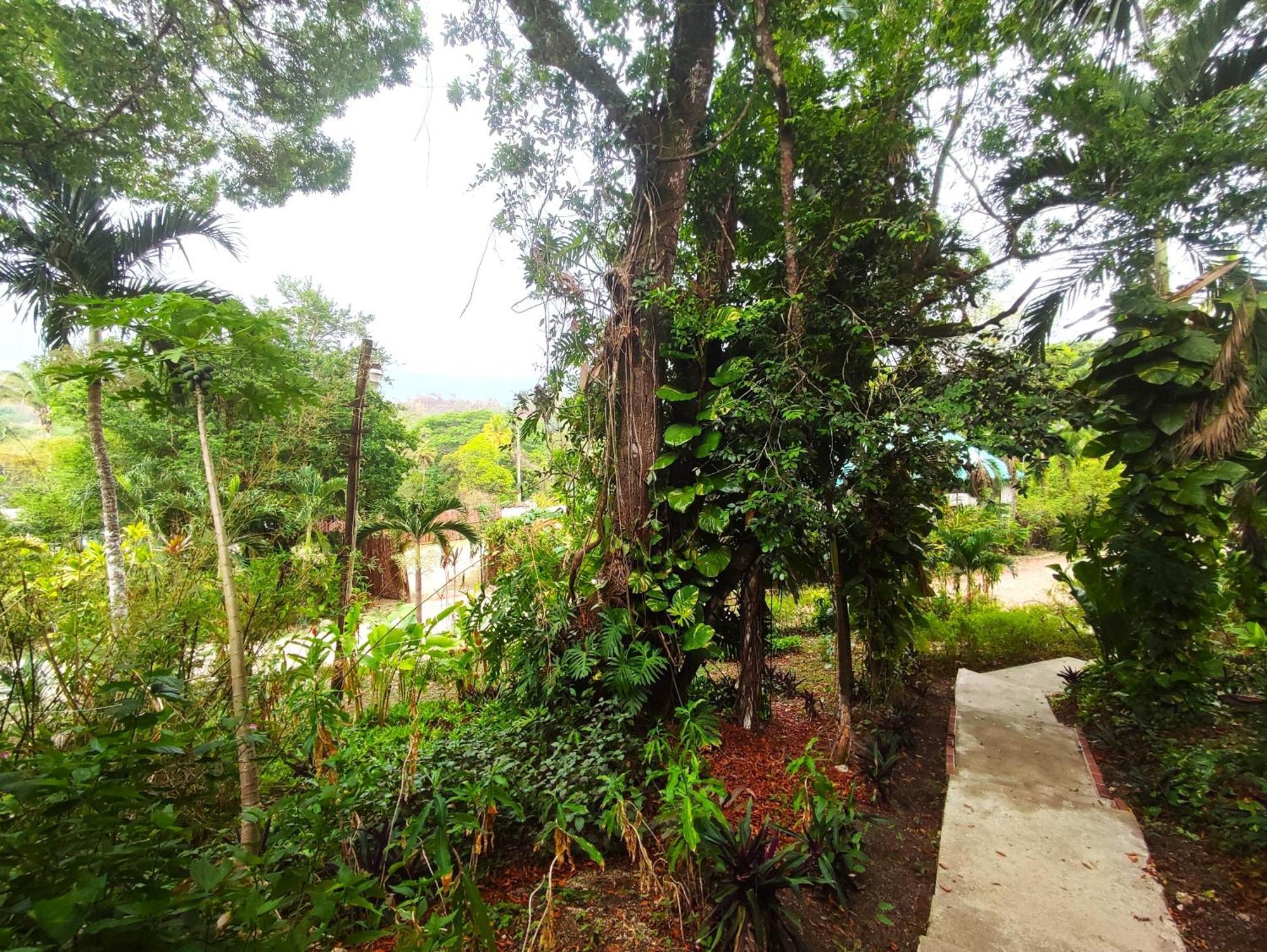 Maya Mountain Lodge San Ignacio Ngoại thất bức ảnh