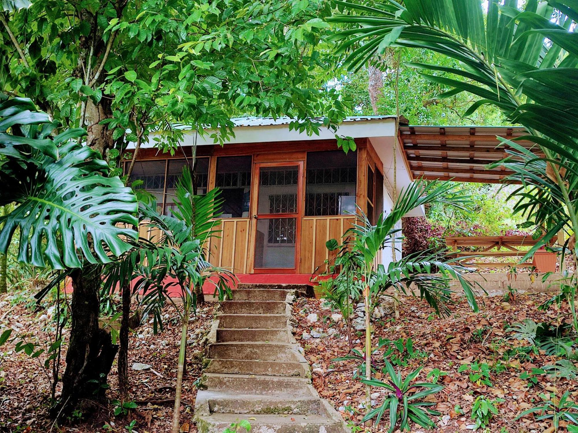 Maya Mountain Lodge San Ignacio Ngoại thất bức ảnh