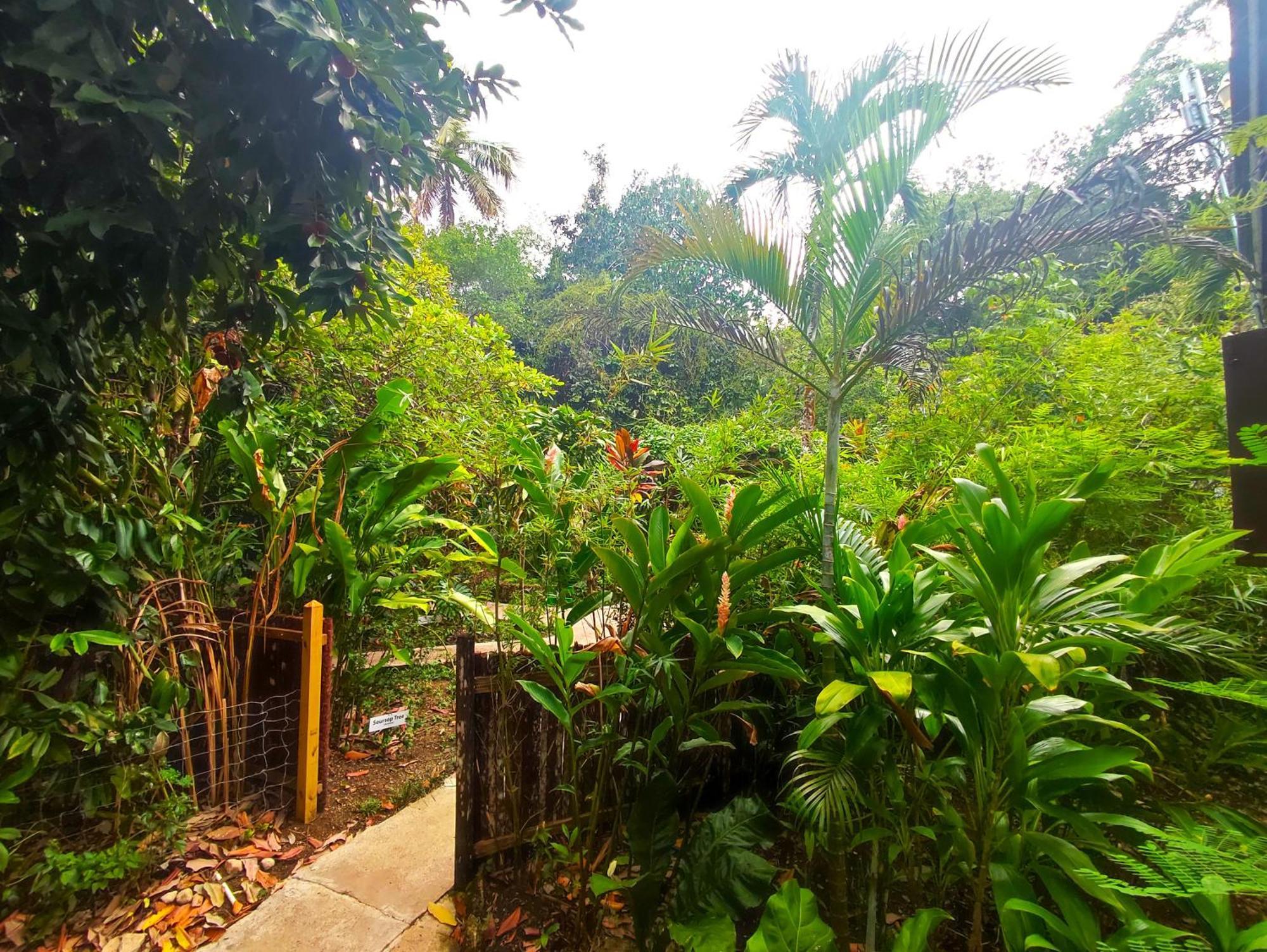 Maya Mountain Lodge San Ignacio Ngoại thất bức ảnh