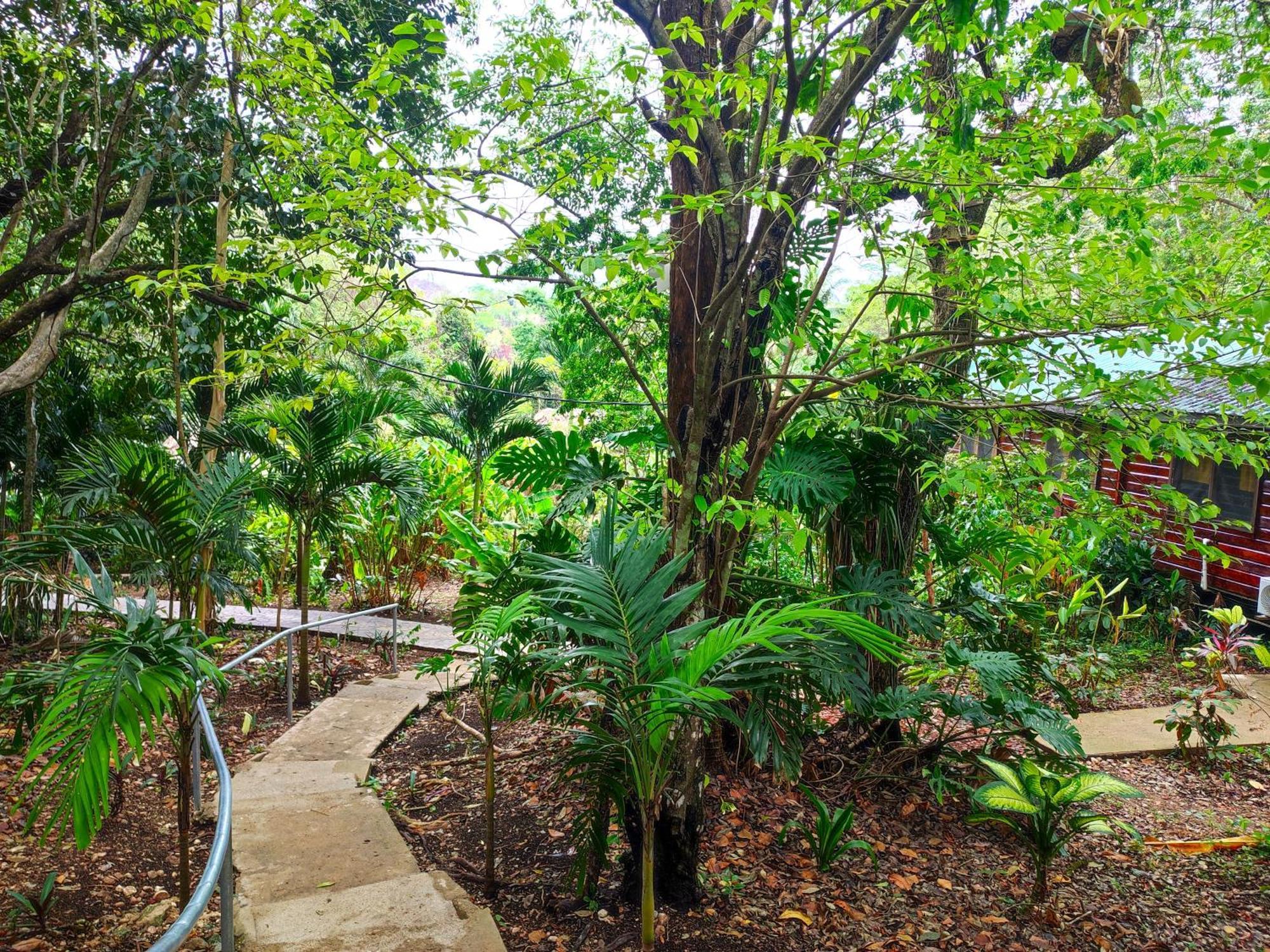 Maya Mountain Lodge San Ignacio Ngoại thất bức ảnh