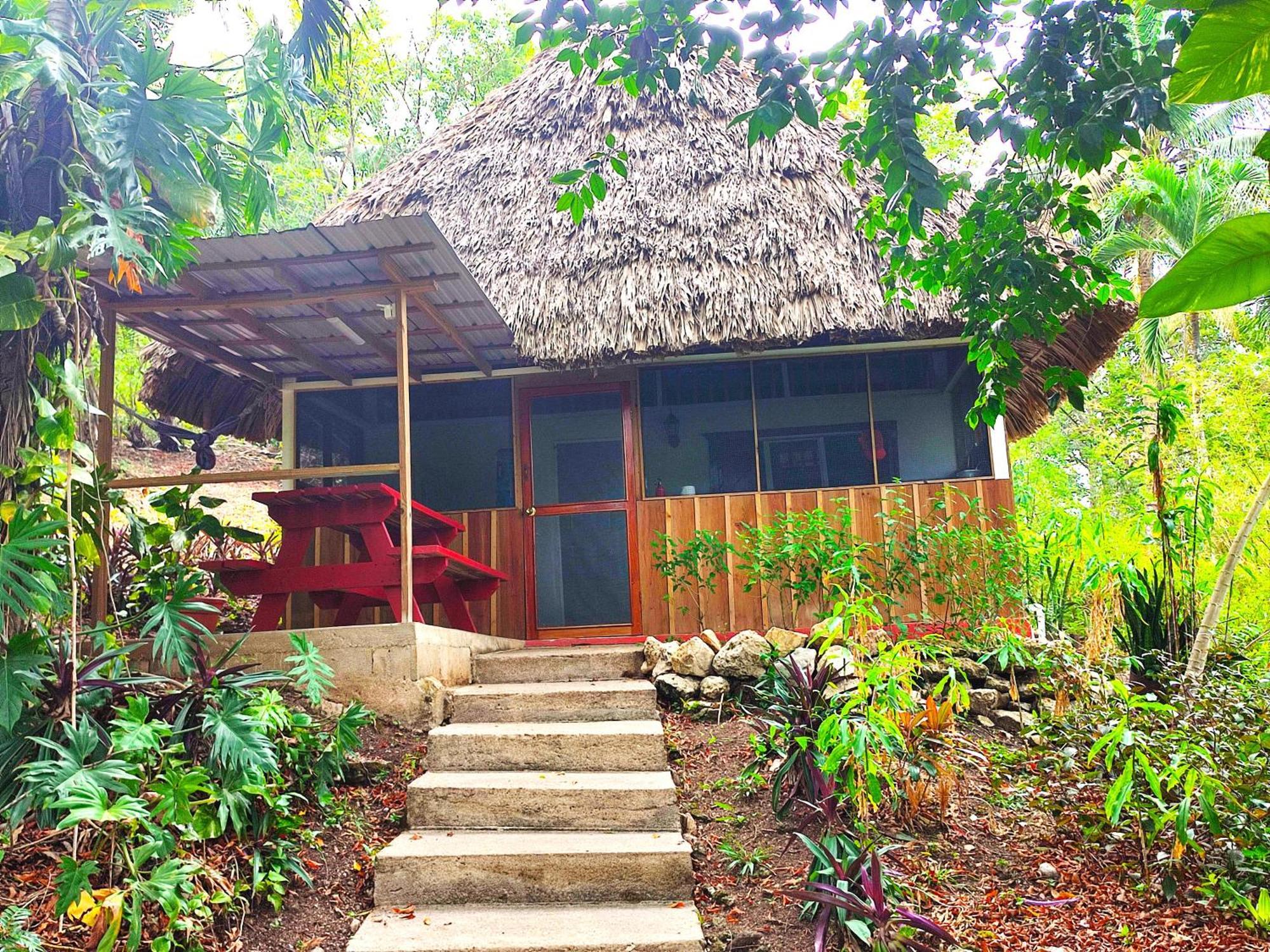 Maya Mountain Lodge San Ignacio Ngoại thất bức ảnh