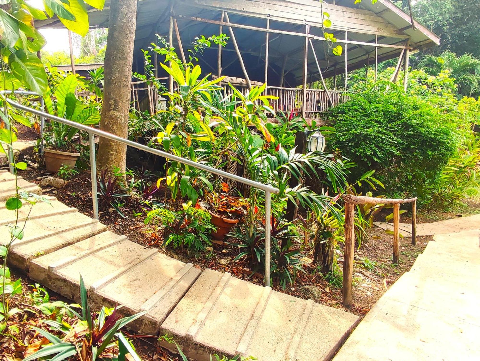 Maya Mountain Lodge San Ignacio Ngoại thất bức ảnh