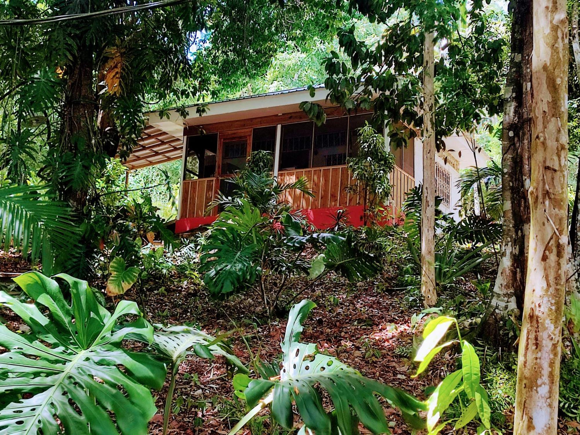 Maya Mountain Lodge San Ignacio Ngoại thất bức ảnh