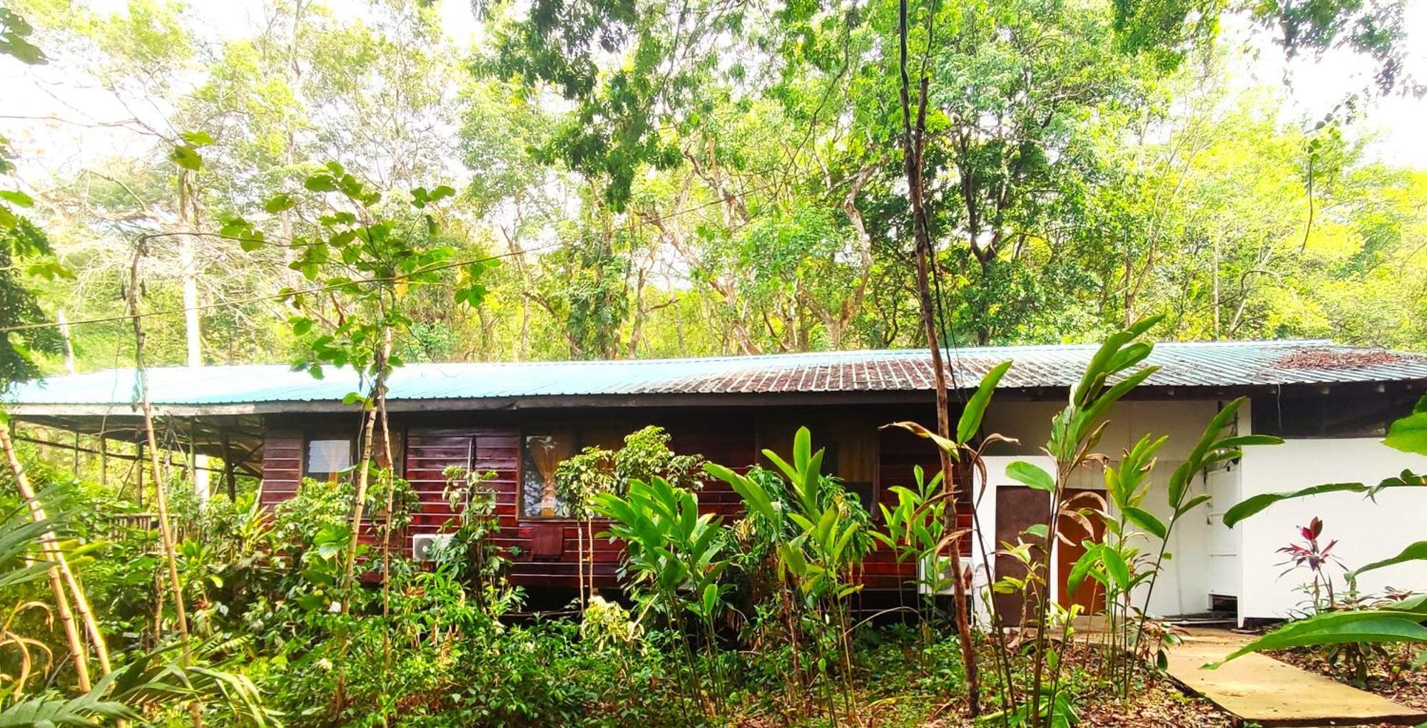 Maya Mountain Lodge San Ignacio Ngoại thất bức ảnh