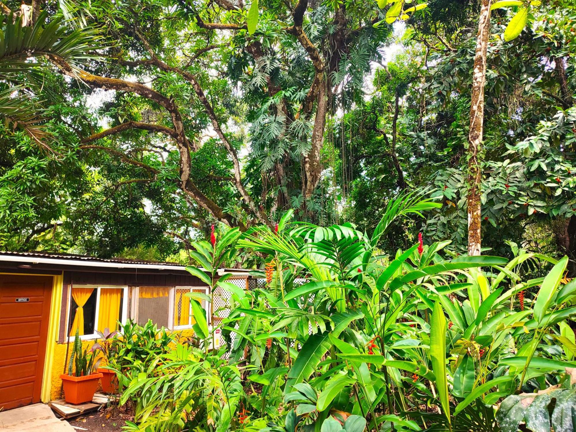 Maya Mountain Lodge San Ignacio Ngoại thất bức ảnh