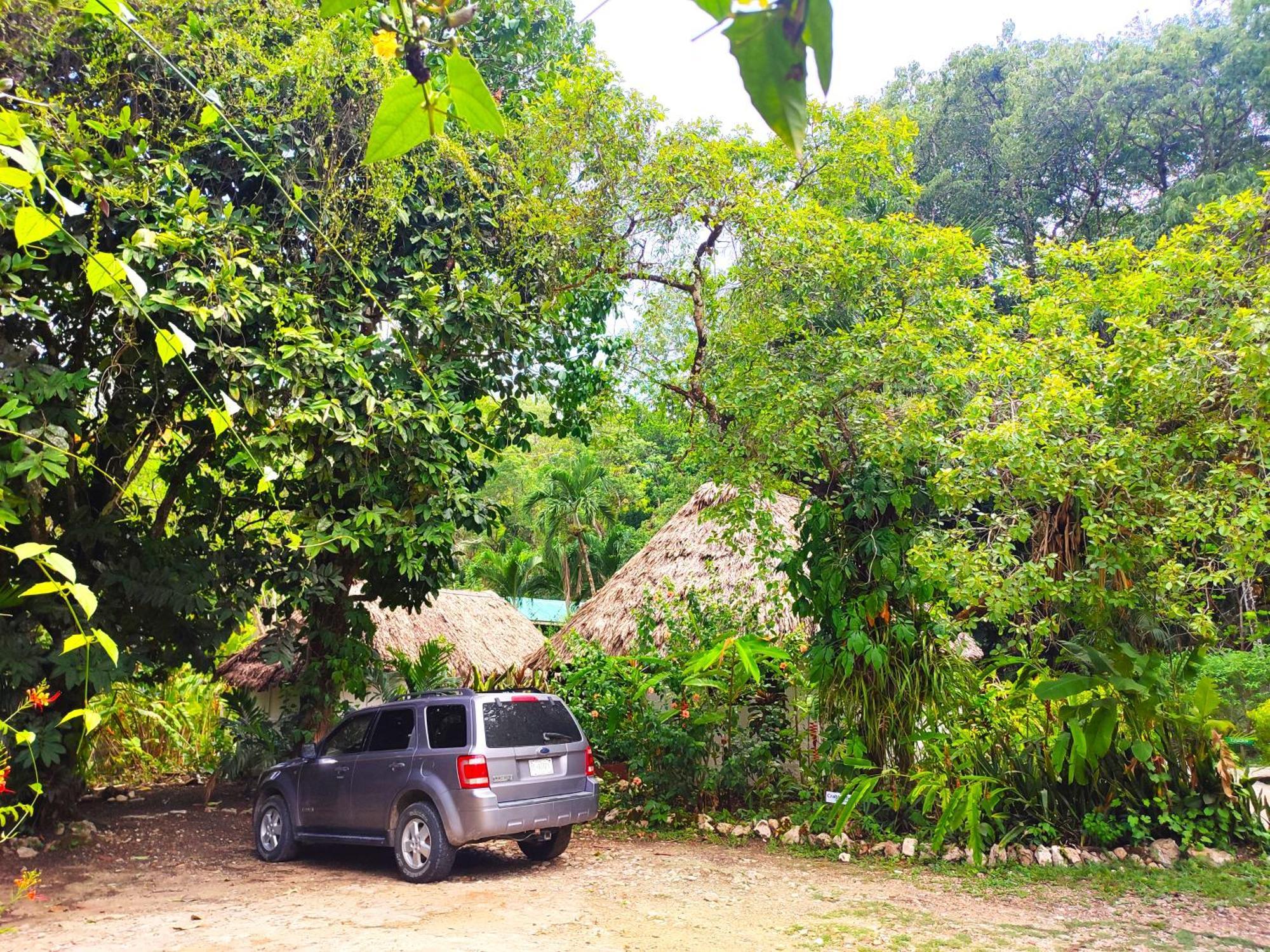 Maya Mountain Lodge San Ignacio Ngoại thất bức ảnh