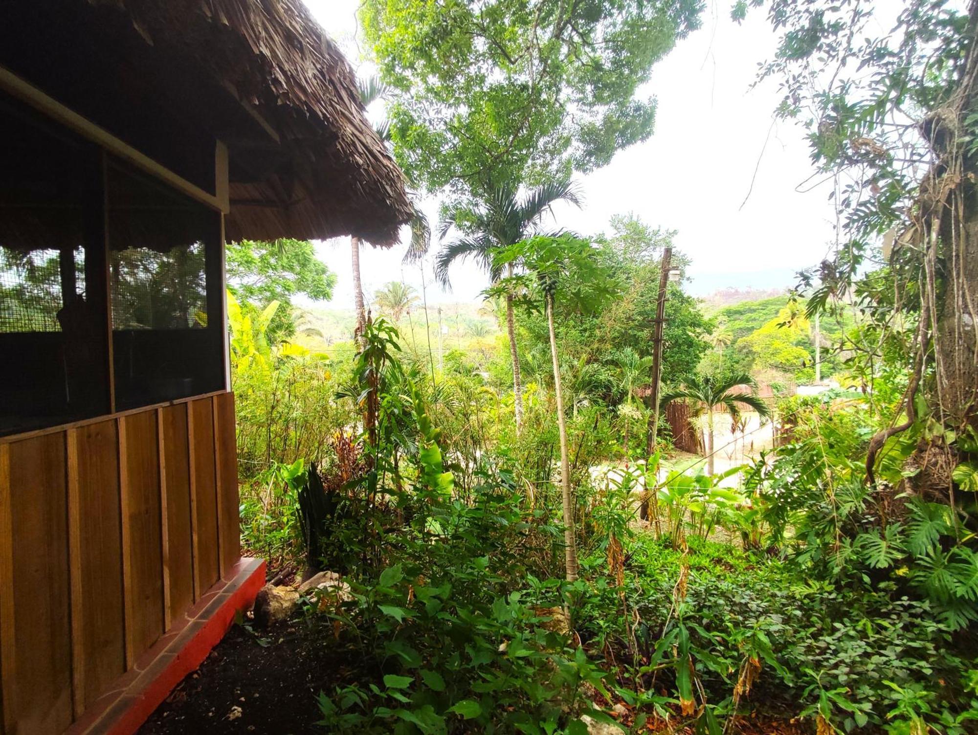Maya Mountain Lodge San Ignacio Ngoại thất bức ảnh