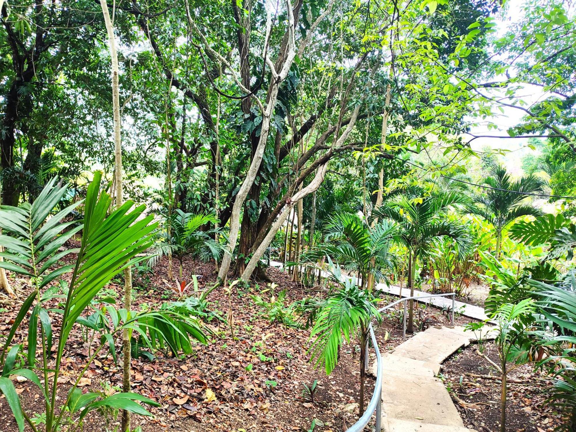 Maya Mountain Lodge San Ignacio Ngoại thất bức ảnh