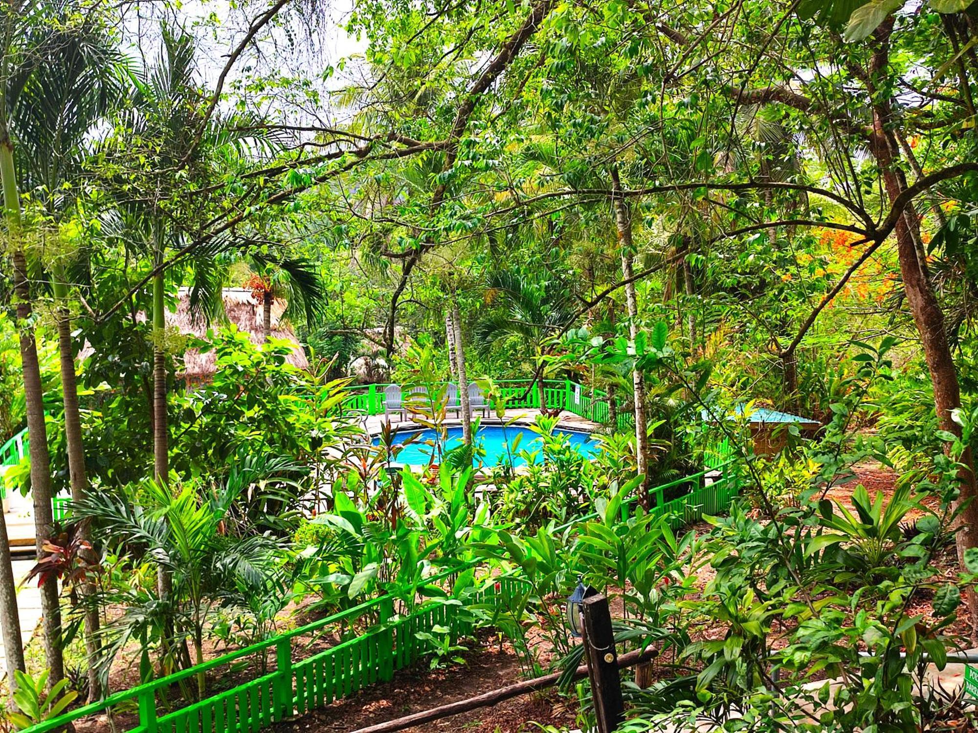 Maya Mountain Lodge San Ignacio Ngoại thất bức ảnh