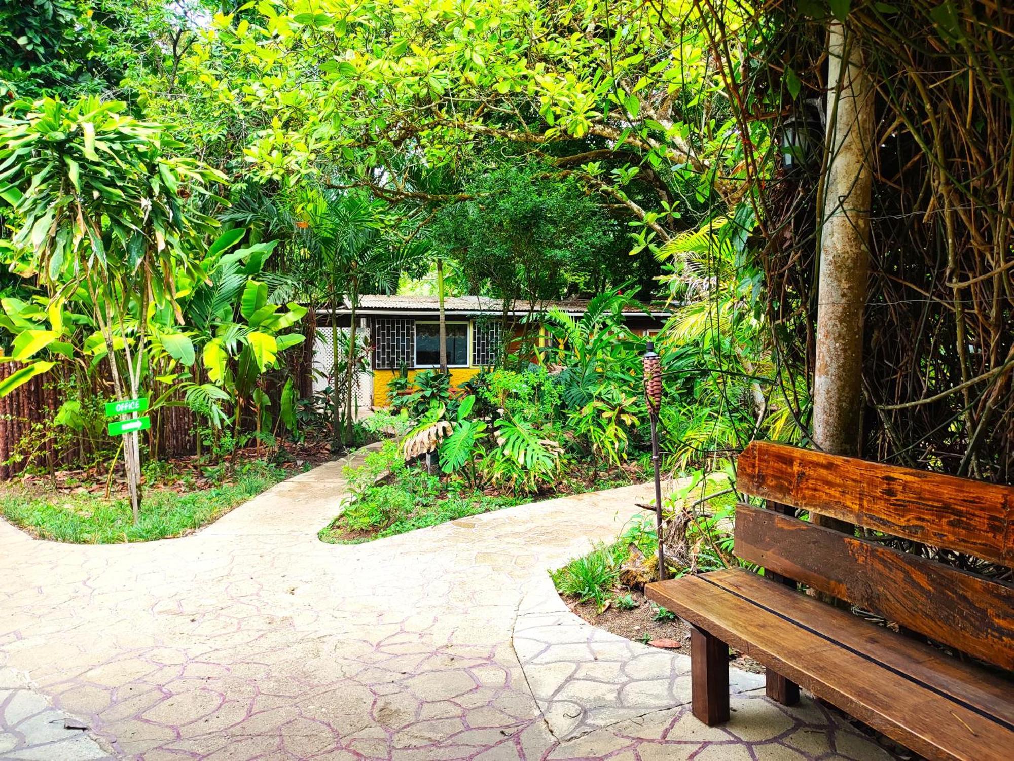 Maya Mountain Lodge San Ignacio Ngoại thất bức ảnh