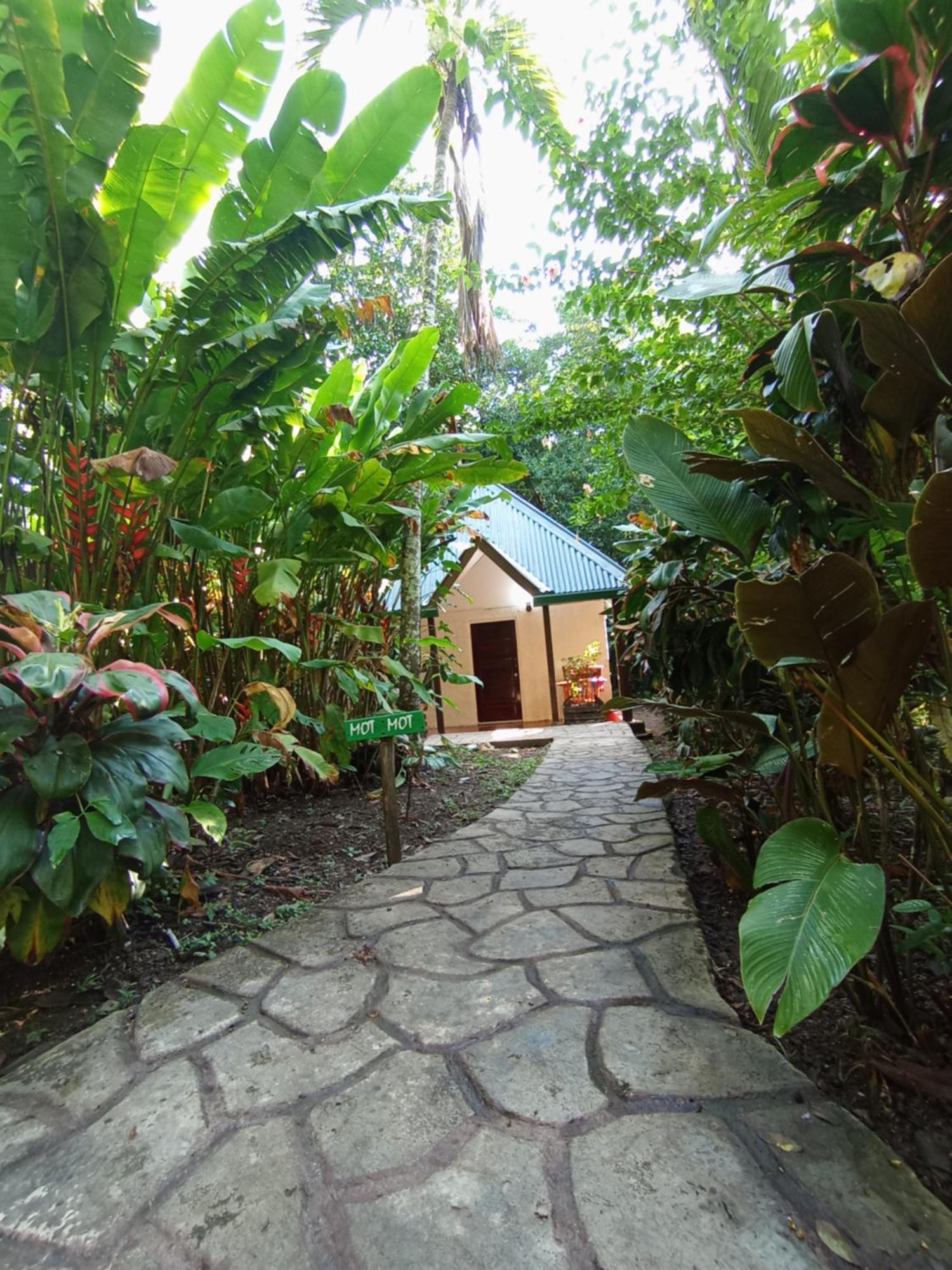 Maya Mountain Lodge San Ignacio Ngoại thất bức ảnh
