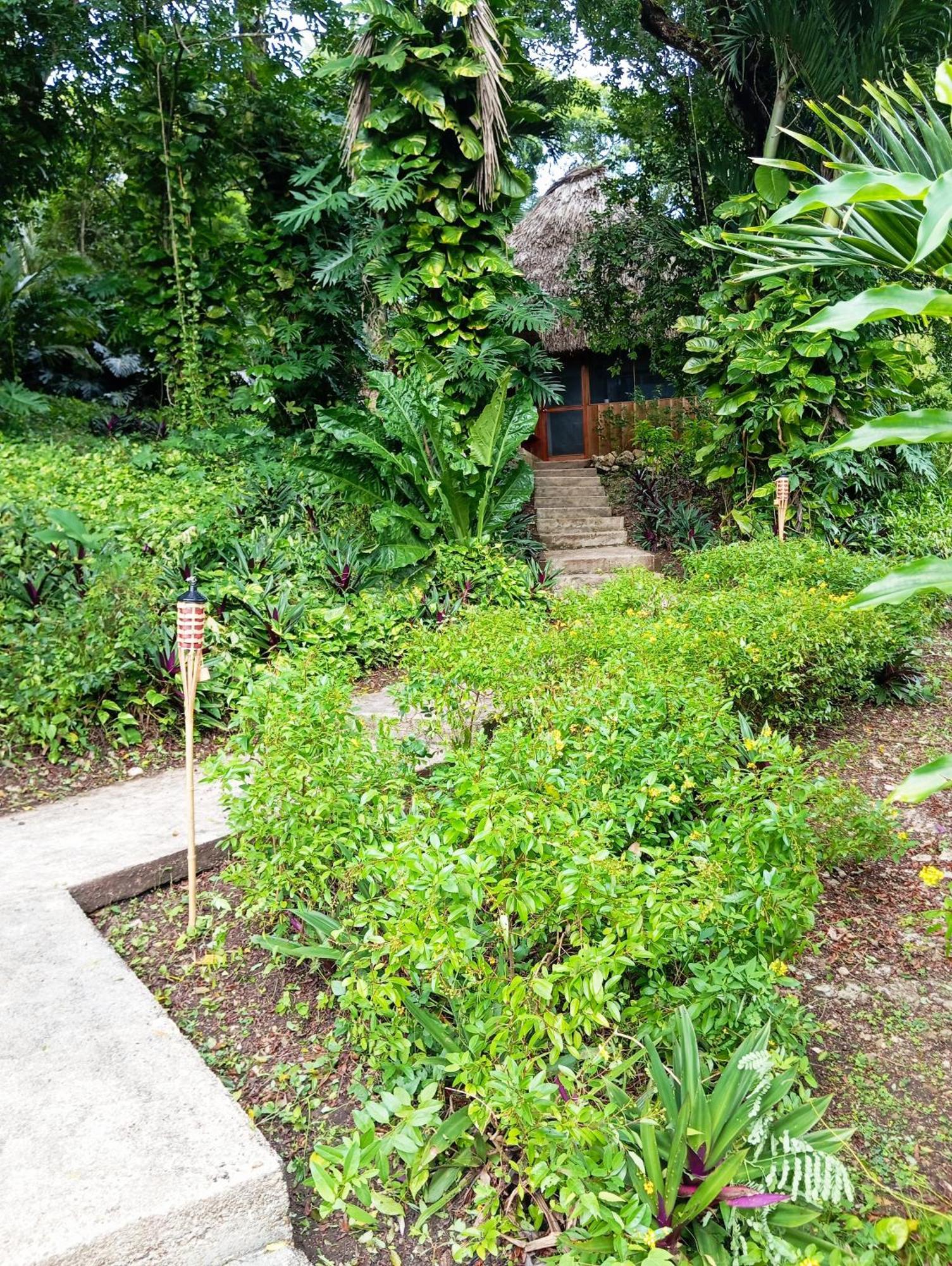 Maya Mountain Lodge San Ignacio Ngoại thất bức ảnh